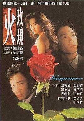 火玫瑰粤语 第35集