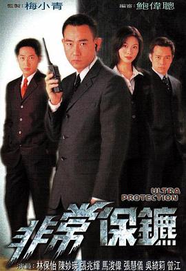 非常保镖国语 第12集