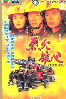 烈火雄心国语 第28集