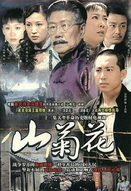 山菊花2009 第2集