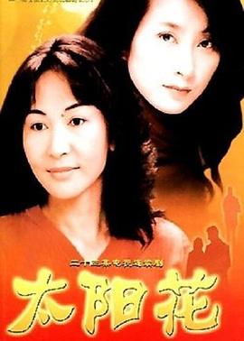太阳花2004 第10集