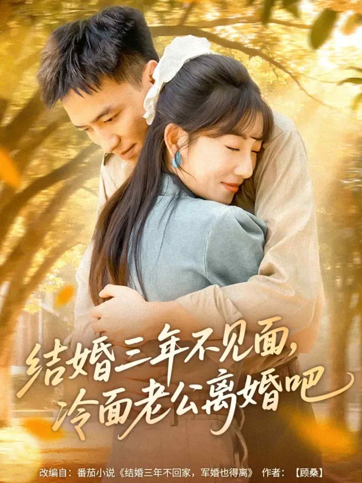 结婚三年不见面，冷面老公离婚吧 第1集