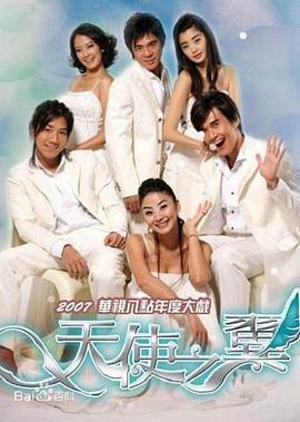 天使之翼2007(全集)