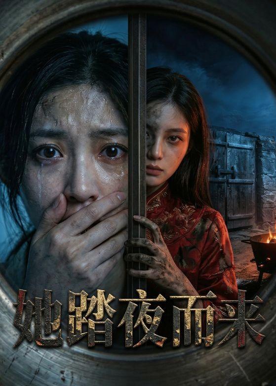 她踏夜而来(全集)