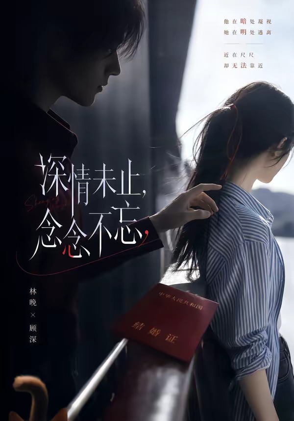 深情未止，念念不忘(全集)