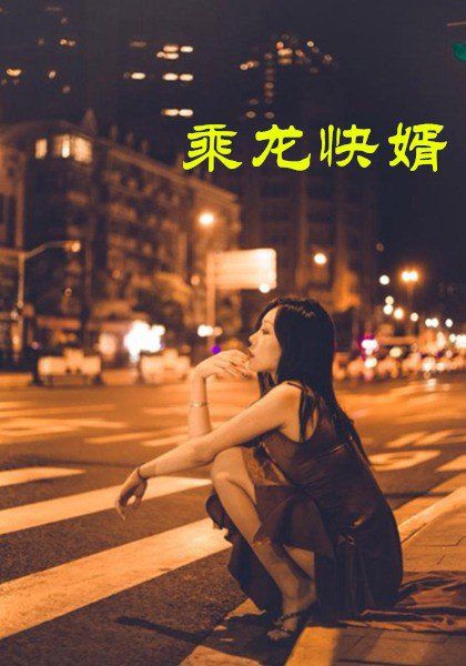 乘龙快婿(全集)